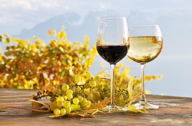 Prihaja eden naših največjih praznikov, praznik novega vina. FOTO: Guliver/Getty images