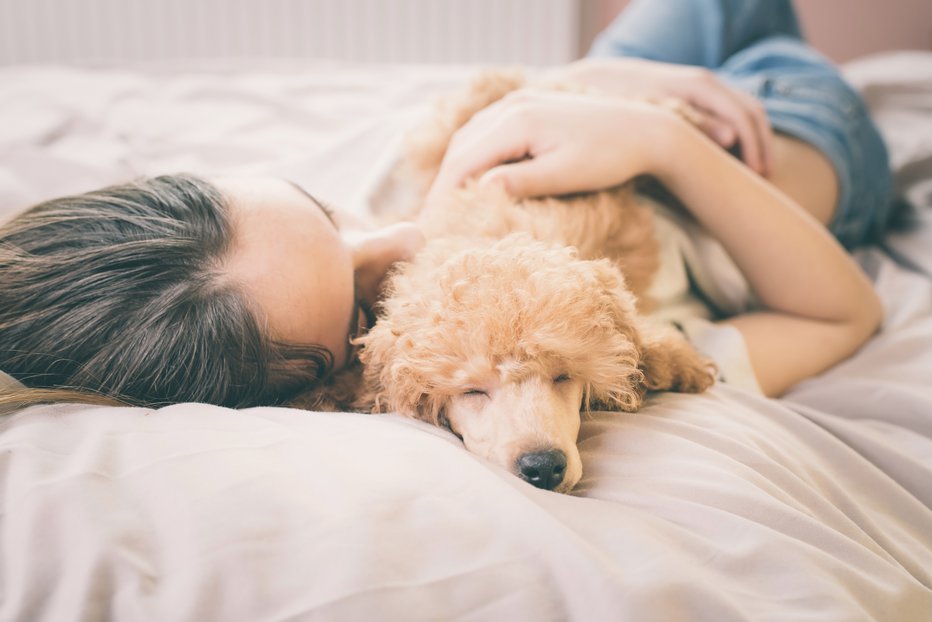Fotografija: Premik ure vpliva tudi na pse in mačke. FOTO: Shutterstock