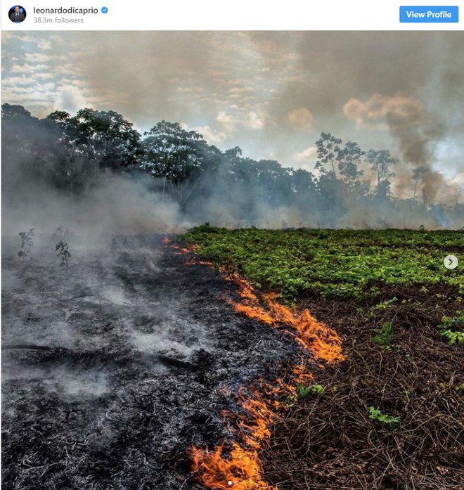Leonardo je opozarjal na katastrofo goreče Amazonije – čeprav s požari iz leta prej. FOTO: instagram