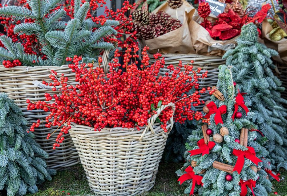 Fotografija: Pomemben del božično-novoletne dekoracije so zimzelene vejice in rdeči okraski. FOTO: Shutterstock