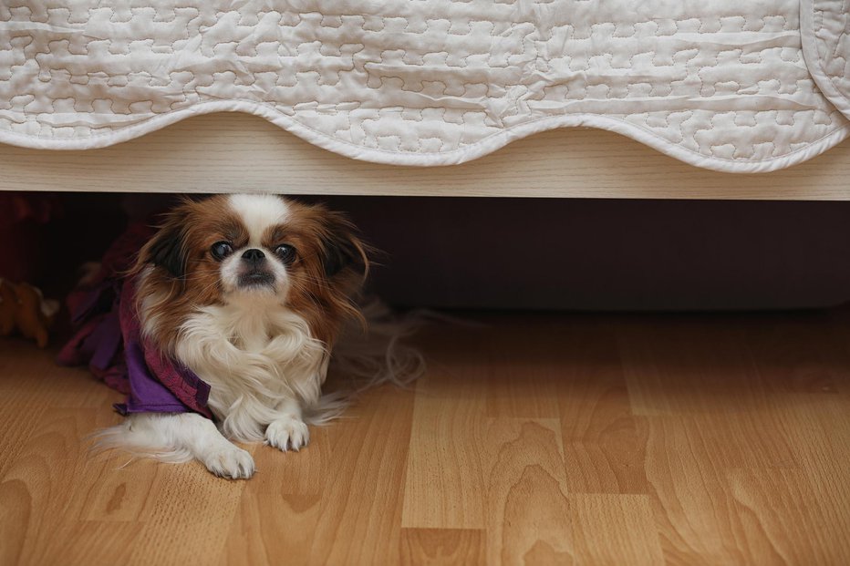 Fotografija: Prostor pod posteljo je najbolje pustiti prazen. FOTO: Thinkstock