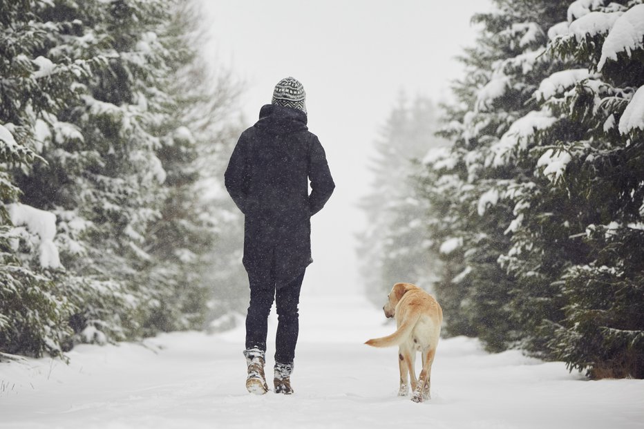 Fotografija: Zaradi psa se moramo gibati na svežem zraku. FOTO: Shutterstock