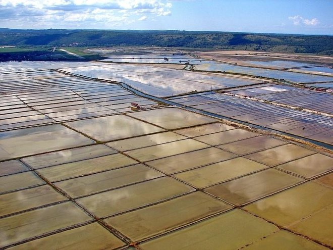 Na okoli šest kvadratnih kilometrih so najmanj 800 let stare soline zelo veličastne. FOTO: Primož Hieng