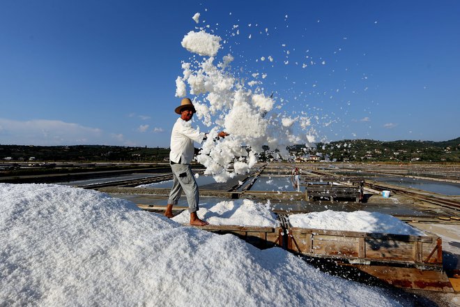 Študentje menijo, da je treba za ohranitev solinarstva začeti znova pridelovati sol na opuščenih Fontaniggah. FOTO: Tomi Lombar