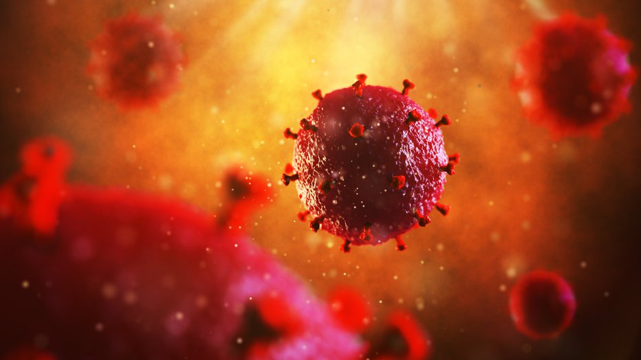 Fotografija: Najnovejši sev virusa naj bi bil še bolj nalezljiv kot zadnji (simbolična fotografija). FOTO: Artem_egorov Getty Images/istockphoto