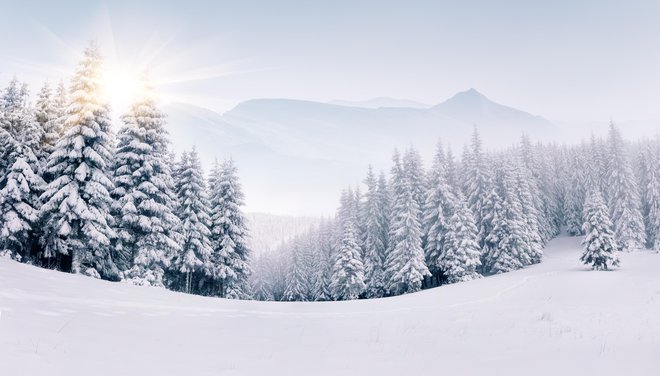 Tik pred koncem leta smo se v večini države razveselili snega. FOTO: Andrew_mayovskyy/Getty Images