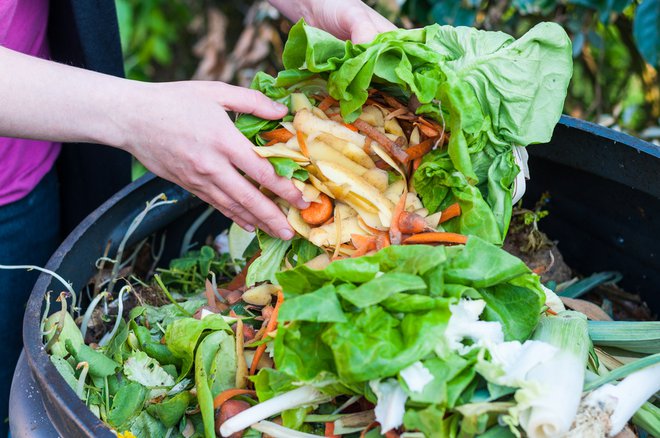 Biološki odpadki so tudi ostanki hrane, pokvarjeni živilski izdelki in manjše kosti. FOTO: Shutterstock