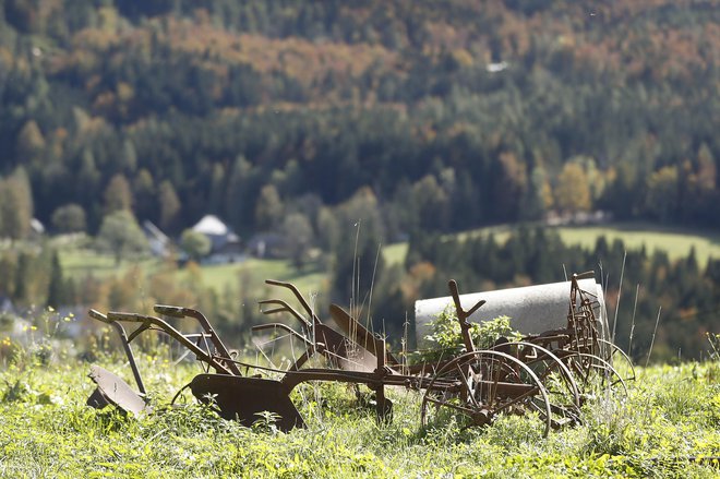 V Sloveniji še vedno na dan propadejo tri kmetije. FOTO: Leon Vidic