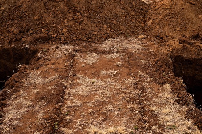 V Južni Afriki bi lahko izkopali 1,5 milijona grobov za žrtve covida-19. FOTO: Wikus De Wet/AFP