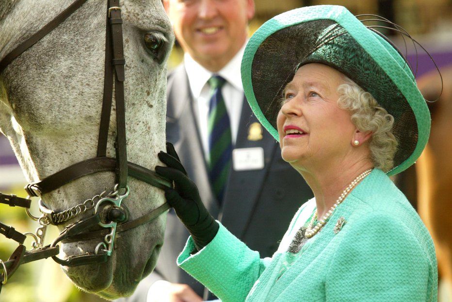 Fotografija: Britanska kraljica je v konje zaljubljena že od otroštva. FOTO: Carl De Souza, Getty Images