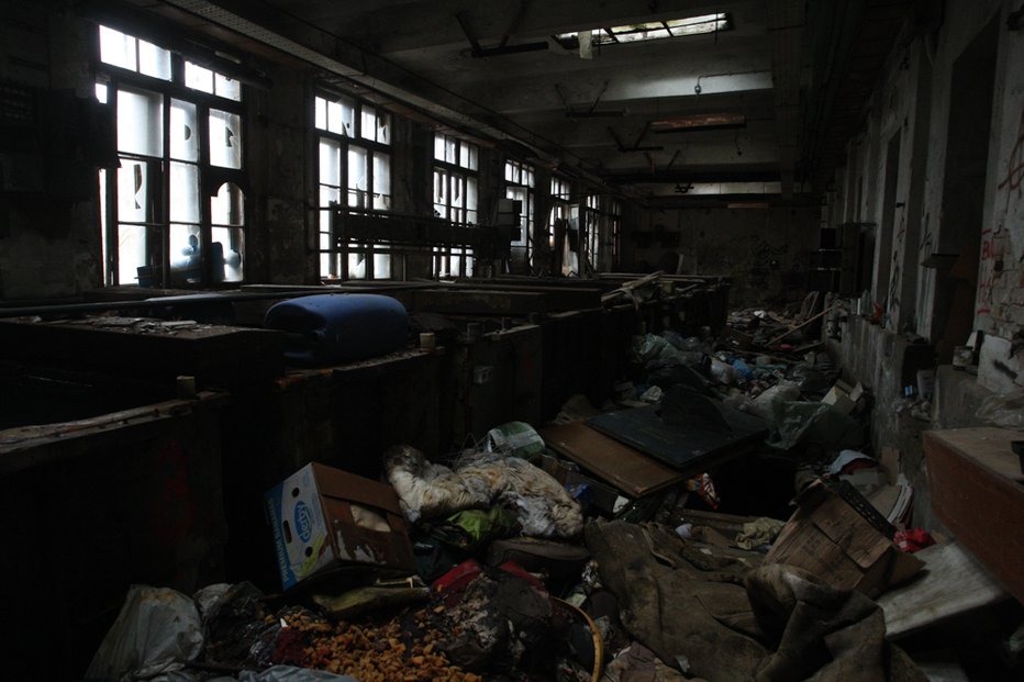 Fotografija: Vse to so našli na območju nekdanje tovarne Rog. FOTO: Nik Rovan, Mol
