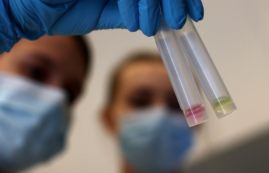 Fotografija: Laboratoriji delajo dan in noč, da preverjajo PCR-teste. FOTO: Lisi Niesner, Reuters