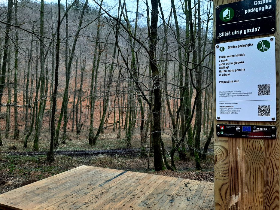 Fotografija: Leseni ploščadi sta idealni za trenutke sprostitve in miru v objemu gozda. FOTO: Tina Podobnik