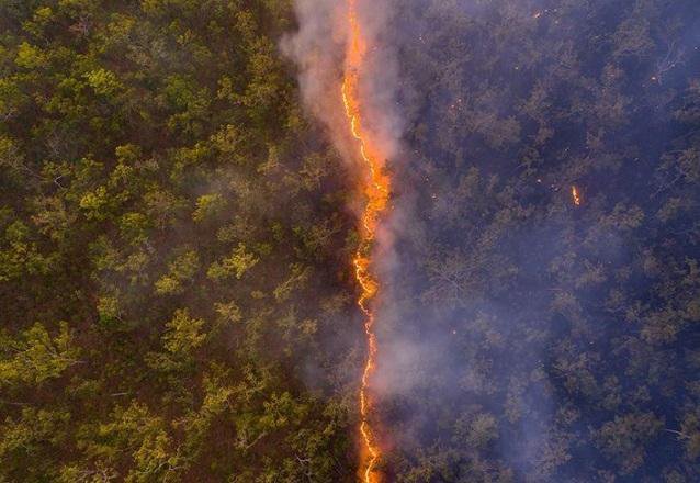 Podobo narave, ki jo golta ogenj, je ustvaril z dronom. FOTO: Instagram/Prirodoslovni muzej v Londonu