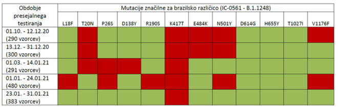 Za brazilsko različico (IC-0561 – B.1.1248) značilne mutacije se v Sloveniji pojavljajo le v zelo majhnih deležih. FOTO: Imi