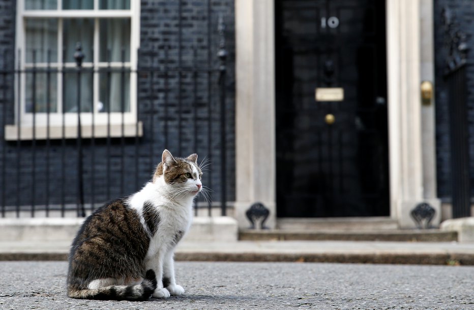 Fotografija: Downing Street 10 je povsem varen pred glodavci. FOTO: Henry Nicholls/Reuters