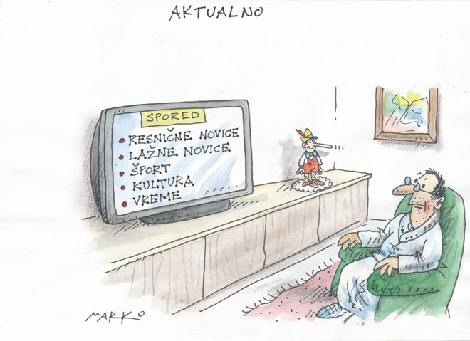 Karikatura o lažnih novicah. FOTO: Marko Kočevar