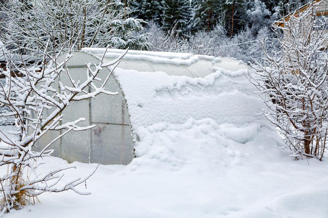 Kjer je pozimi debela snežna odeja, mora rastlinjak težo zdržati. FOTO: Getty Images