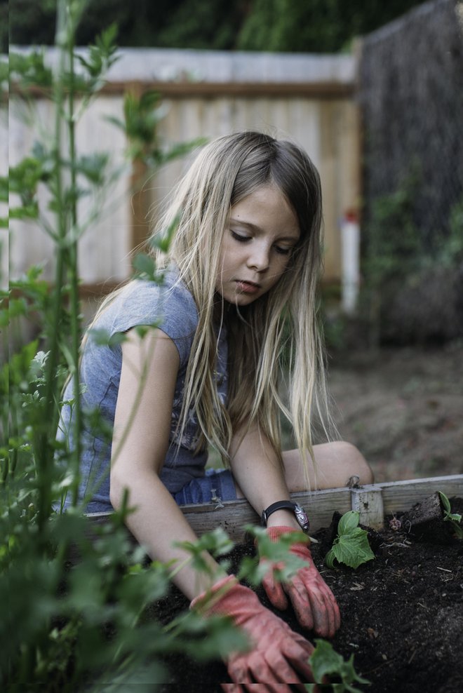 K vrtnarjenju pritegnimo otroke in jih navdušimo nad doma pridelano zelenjavo. Foto: Getty Images