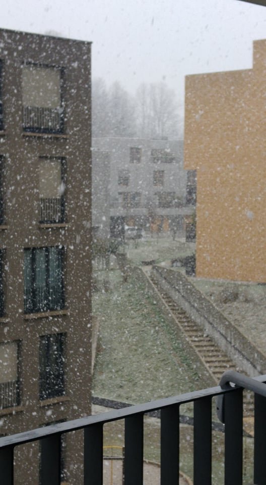 Fotografija: V Ljubljani je nekatere presenetilo sneženje (simbolična fotografija). FOTO: bralka