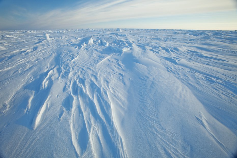 Fotografija: Opazoval bo arktično območje. FOTO: Lucas Jackson/reuters