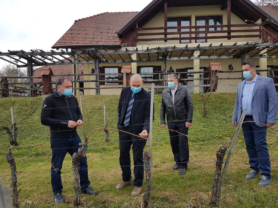 Fotografija: Posledice pozebe si je v Jeleničevem vinogradu ogledal tudi kmetijski minister dr. Jože Podgoršek.