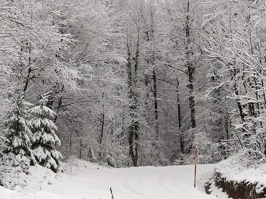 Fotografija: Snežna odeja naj bi se nekoliko odebelila v hribih. FOTO: bralka Valerija