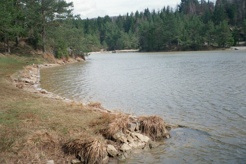 Fotografija: Jezero na Rakitni FOTO: Janez Petkovšek