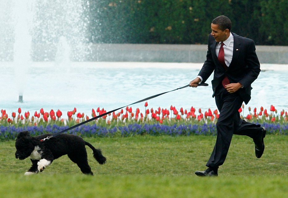 Fotografija: Barack Obama s psom Bojem. FOTO: Jim Young, Reuters