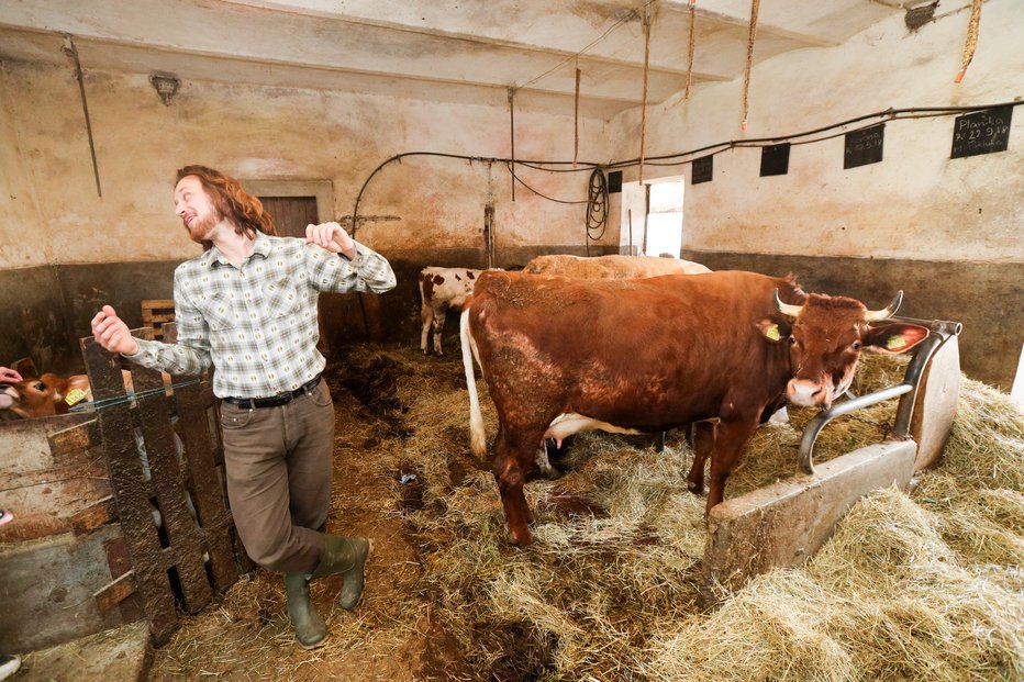 Fotografija: Pravi, da je zanj najlepši del dneva, ko pride zjutraj v štalo in pogleda kravo. FOTOGRAFIJE: Marko Feist