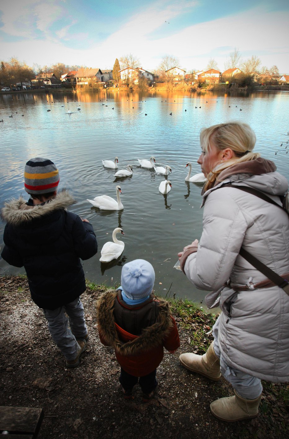 Fotografija: Ljubljanski ribnik je priljubljena točka za družine z malimi otroki. FOTO: Jure Eržen