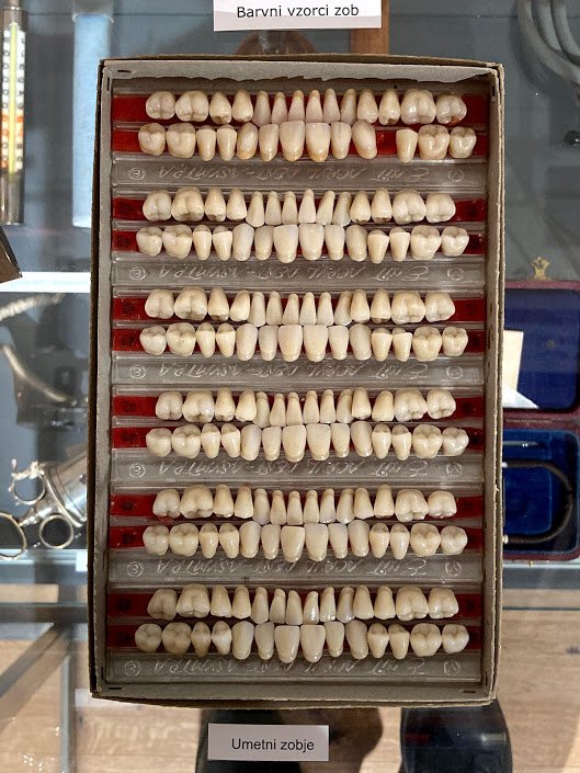 Stoletje stara zbirka zob