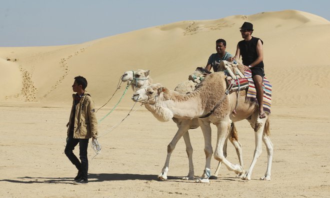 Jahanje kamel v Tuniziji.  FOTO: Zoubeir Souissi, Reuters Pictures