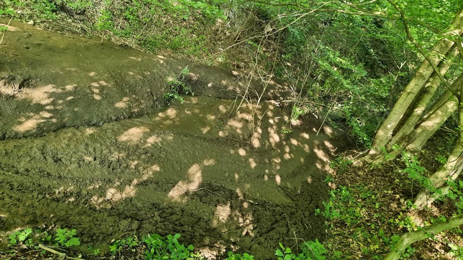 Fotografija: Pojavila se je večja količina blata iz greznice. FOTO: Občina Hoče - Slivnica