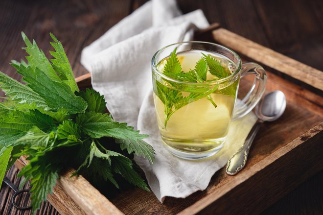 Čaj skuhamo iz svežih ali posušenih listov. FOTO: Marcus Z-pics/Getty Images