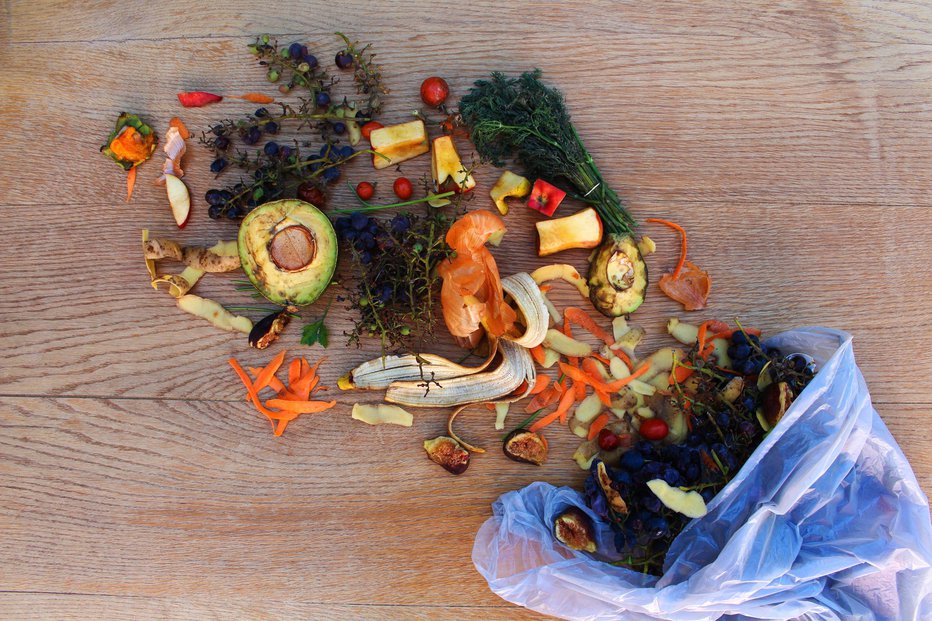 Fotografija: Namesto v smeti bi morala hrana, ki se pokvari ali pa je ne bomo pojedli, romati na kompost. FOTO: Victoria 1, Shutterstock