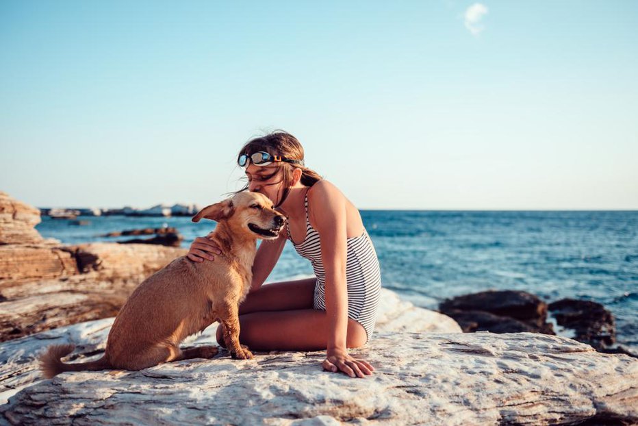 Fotografija: Pes na dopustu. FOTO: Zivica Kerkez, Shutterstock
