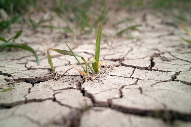 Ob ponovnem vročinskem valu bo večji del prejetih padavin hitro izhlapel, zato pričakujemo, da se bodo sušne razmere zaostrile. FOTO: Getty Images