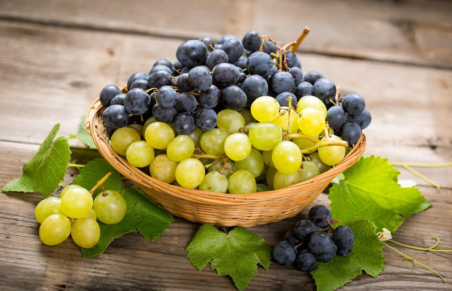 Fotografija: Fresh grapes in the basket