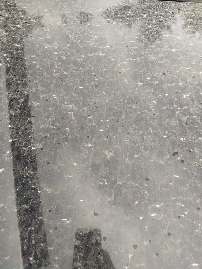 Avto je prekril prah. FOTO: Bralka Suzana