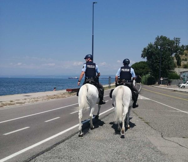 Fotografija: Društvo za zaščito konj policiji očita, da ji ni mar za živali. FOTO: FB PU Koper