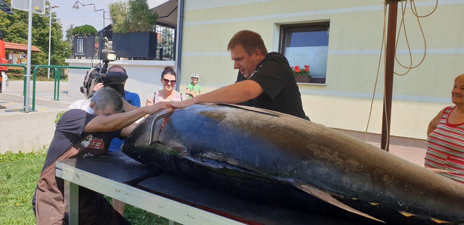 Fotografija: Damjan Fink se je razveselil tuna. FOTO: Osebni arhiv