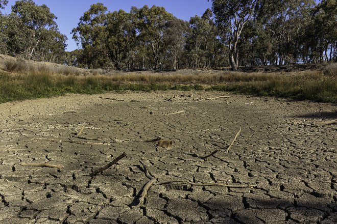 Zmerno sušne razmere še naprej ostajajo na Goriškem, čeprav tam do zelo sušnih ni daleč. FOTO: Getty Images