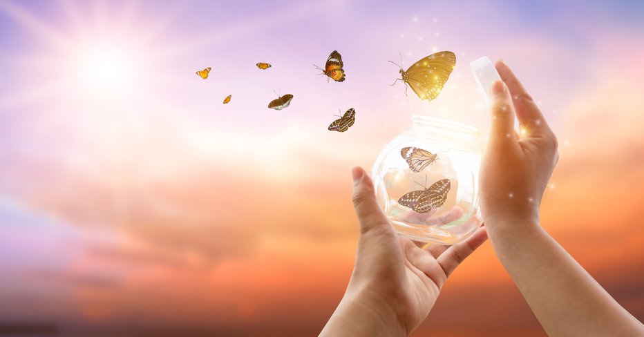 Fotografija: The girl frees the butterfly from the jar, golden blue moment Concept of freedom
