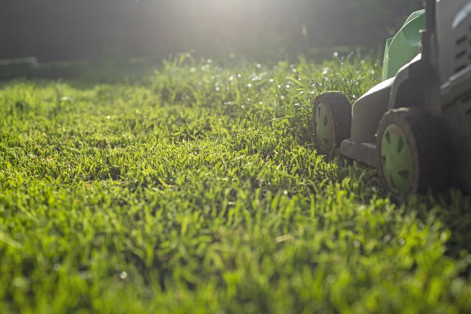 Fotografija: Pokošena trava je uporabna na več načinov. FOTO: Serhiikrot, Getty Images
