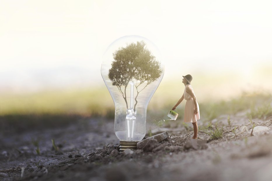 Fotografija: surreal image of a woman watering her plant that needs energy to a light bulb
