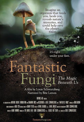 Plakat za dokumentarec Fantastic Fungi FOTO: FANTASTICFUNGI.COM