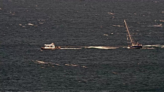 Pomorska policija je reševala jadrnico. FOTO: PU Koper