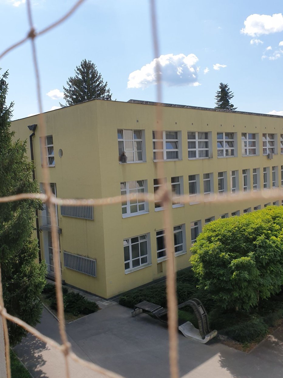 Fotografija: Na okenski police šole so zagledali dekle. FOTO: Bralec poročevalec