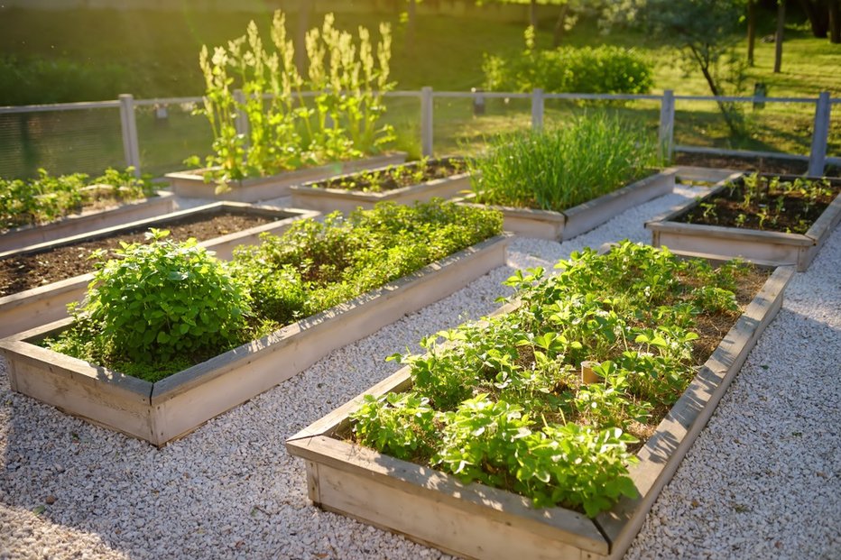 Fotografija: Pri vrtnarjenju poskusimo biti čim bolj trajnostni. FOTO: Maria Sbytova, Shutterstock